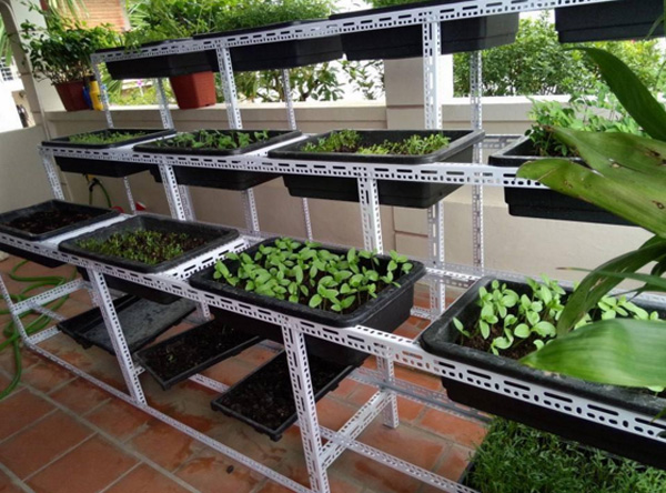 Hướng dẫn 3 bước tự thiết kế vườn trồng rau sạch tại nhà bằng kệ sắt v lỗ